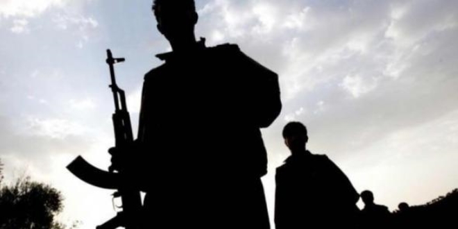 Yol kesen PKK'lılar, bekçinin kardeşini öldürüp aracını yaktı
