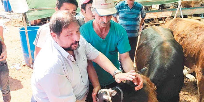 Tatilin uzaması ve masraflar kurban satışlarını vurdu