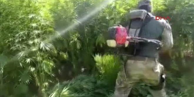 Asker, gömülü uyuşturucuyu elleriyle kazarak çıkardı