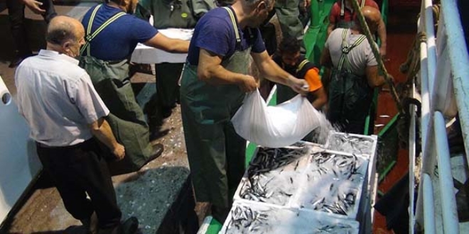 Av yasağı sona erdi, sezonun ilk balık fiyatları belli oldu