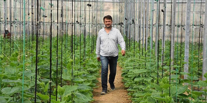 İthalattan bıktı, kendi hibrit tohum tesisini kurdu