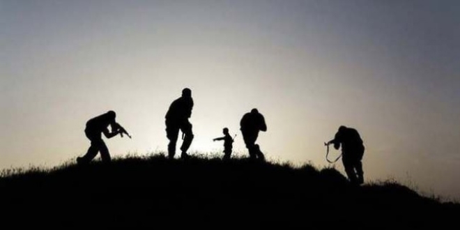 Tunceli'de bir terörist etkisiz hale getirildi