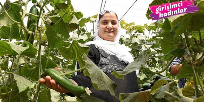 Kurduğu sera ile eşini iş sahibi yaptı