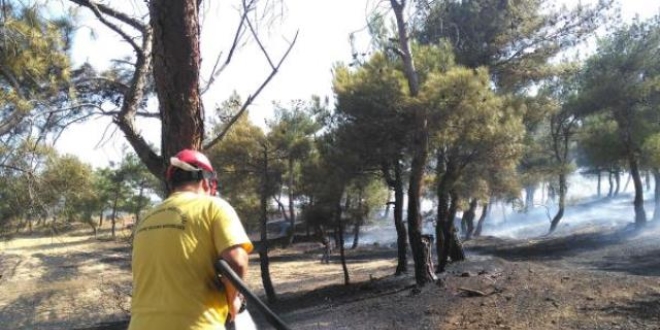 Balıkesir'de ev yangını ormana sıçradı