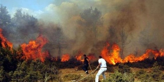 Tokat'ta 20 hektar alanda yangn meydana geldi