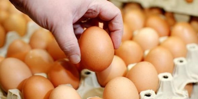 15 yumurta için 15 bin lira ceza geldi