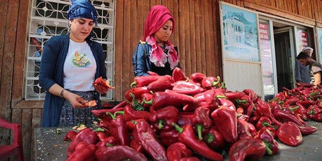 eyizlerini 'acdan' karyorlar