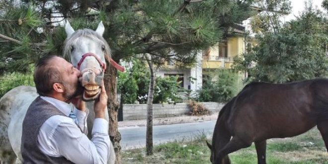 Doktor, hayatını atlarına adadı