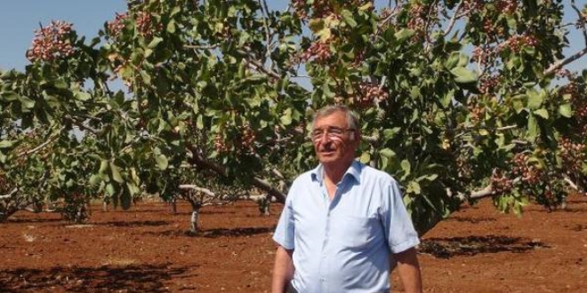 Ürettiği Antepfıstığı çeşidine soyadını verip tescilletti