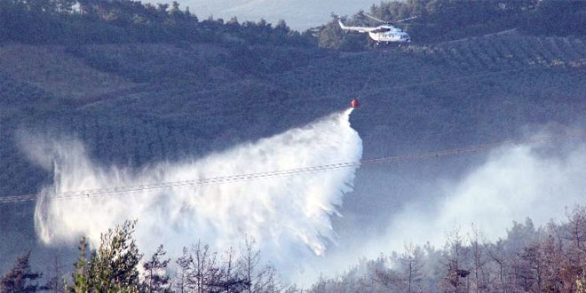 Kars'taki orman yangını söndürüldü