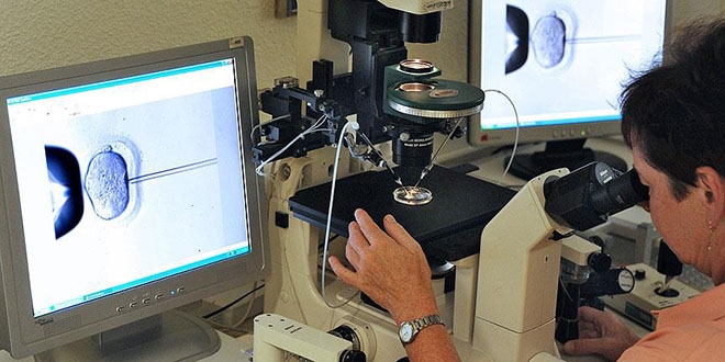 'Obezite tüp bebek tedavisini olumsuz etkiliyor'
