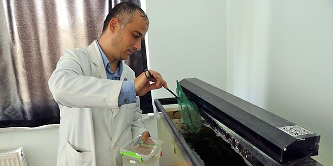 Sudaki kirlilik 'balık'la ölçülecek