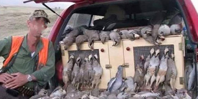 Kaçak avcılar sosyal medyada kendilerini ele verdi