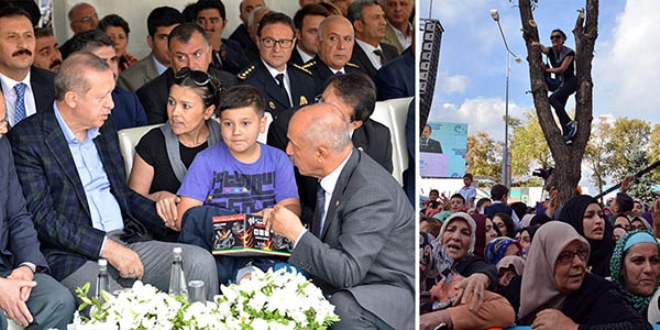 Tutuklu yarbayın eşi, Erdoğan'ın dikkatini çekmek için ağaca çıktı