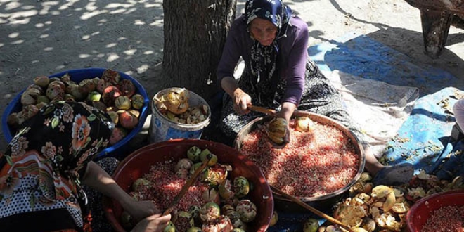 ukurova'da kadnlar nar ekisi tela sard