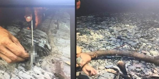 Yılanı yiyip sosyal medyada paylaşan öğretmene ceza