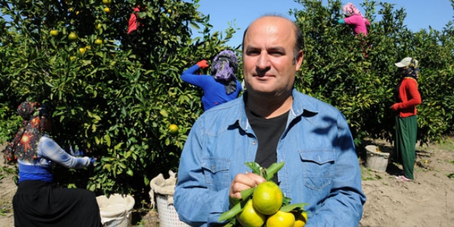 Rekolte azlığı ve paketleme, limon fiyatını artırdı