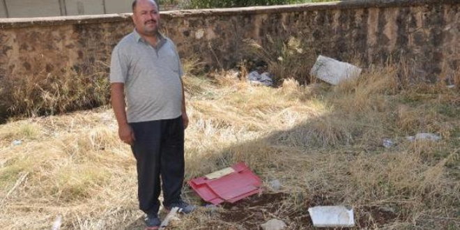 Aile hekiminin bulduğu hasta tilki telef oldu