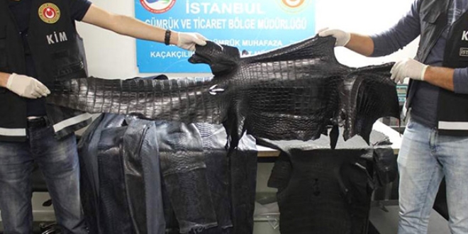 Havalimanı'da yılan ve timsah derisi yakalandı