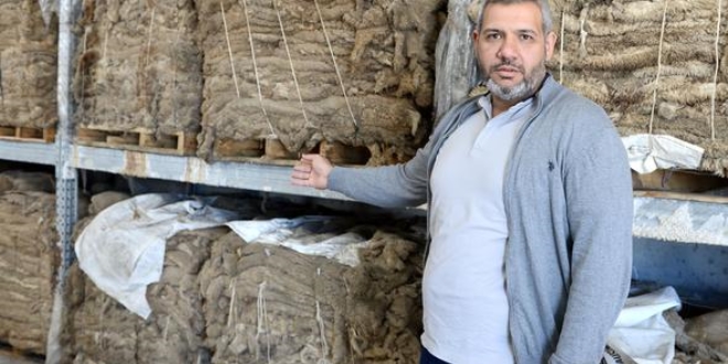 Savaştan kaçıp Türkiye'ye geldi! Dev şirketler arasına girdi