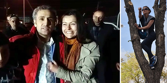 Derdini anlatabilmek için ağaca çıkmıştı, eşine kavuştu
