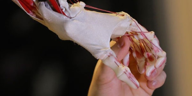 Robotlar en az 5 milyon kişiyi işsiz bırakabilir