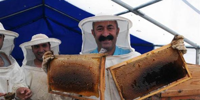 Ovacık Belediye Başkanından esprili bal açıklaması