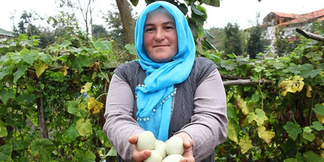 Girişimci kadının hayalini 'yeşil yumurta' tesisi süslüyor