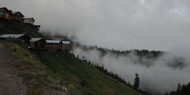 İşte Doğu Karadeniz'in en sıra dışı yaylası