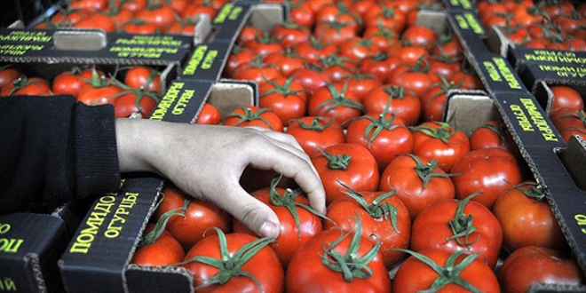 Rusya, domates ithalat iin tarih verdi