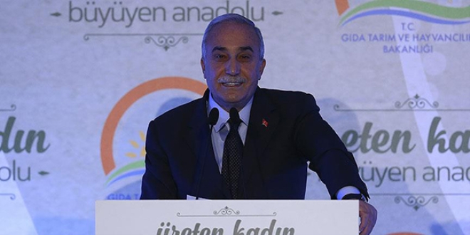 Fakıbaba: Yılda 150 bin dolarlık tohum ihraç ediyoruz