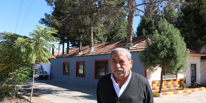 Ağaçları binanın içinde bıraktı