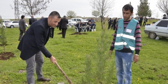 Hükümlüler cezalarını fidan dikerek çekiyor