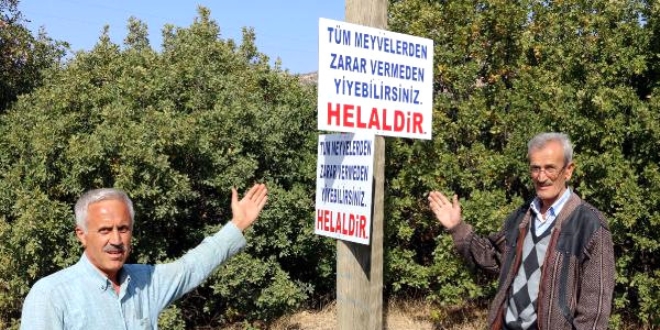 Bu köyde ağaçlardan meyve yemek tek şartla helal
