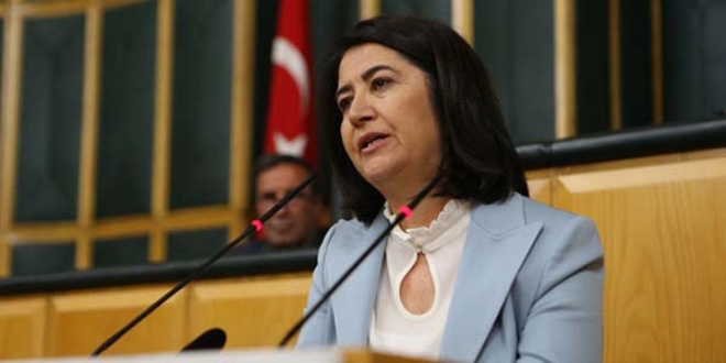HDP: Siz, FETÖ'yü mü içinizden tasfiye ediyorsunuz?