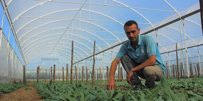 Seralar Genç Çiftçi Projesi ile 'çiçek' açıyor