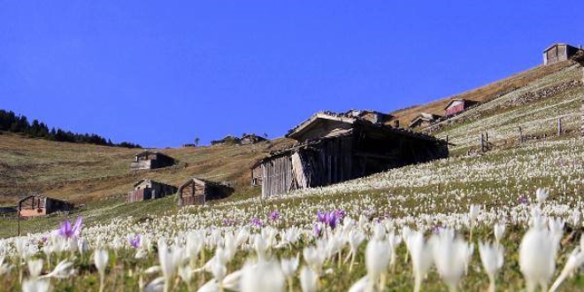 Doğu Karadeniz Bölgesi sonbahar renkleriyle büyüledi