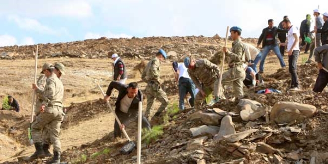 Şırnak'ta asker ve vatandaşlar birlikte fidan dikti