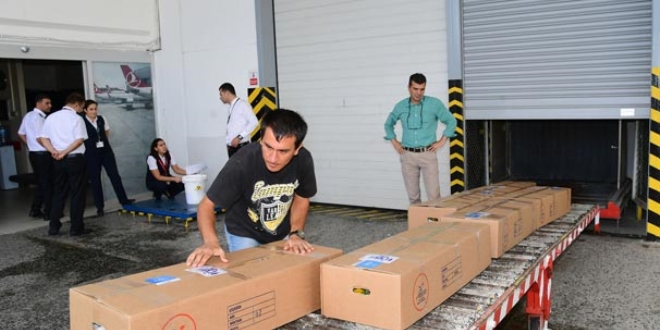 Adana'dan Hollanda'ya 2.5 milyon dal çiçek
