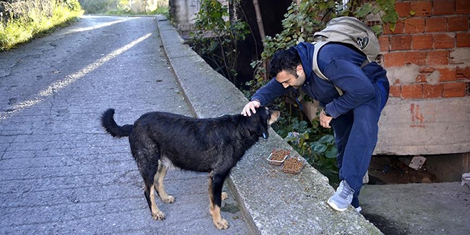 İtfaiye eri, sokak köpeklerini hayata döndürüyor