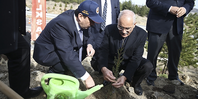 Şehit öğretmenler anısına fidan diktiler