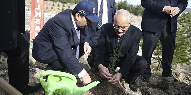 ehit retmenler ansna fidan diktiler