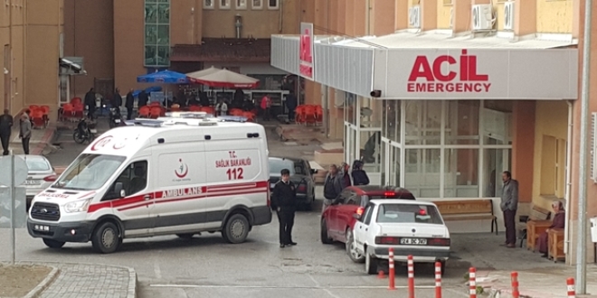 Kars'ta devrilen otomobildeki 2 kardeş öldü