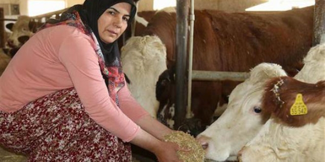 Ev kadını Sevim Şimşek'in müthiş başarı öyküsü