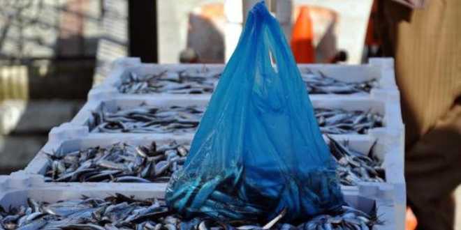 Zonguldak'ta hamsinin kilosu 1.5 liraya düştü