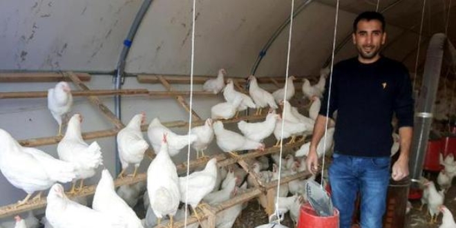 Memleketine döndü, yumurta üreticisi oldu