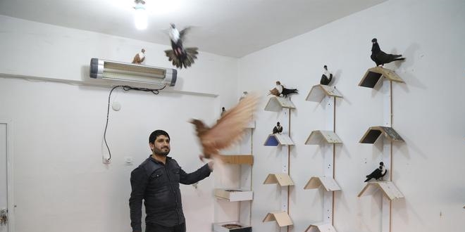 Araba fiyatına ama talibi çok!
