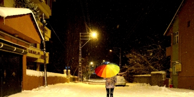 Kars'ın Sarıkamış ilçesinde kar yağışı nedeniyle her taraf beyaza büründü