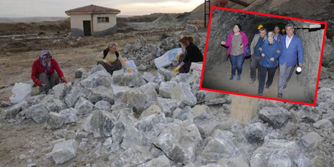 Canan Karatay gelip inceledi... Seçip evine götürdü