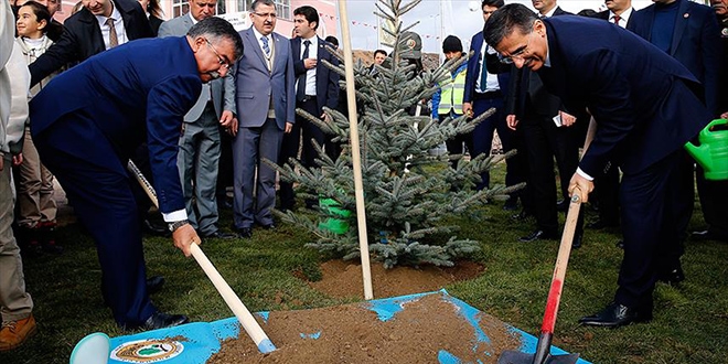 45 bin 958 okul bahçesi ağaçlandırıldı